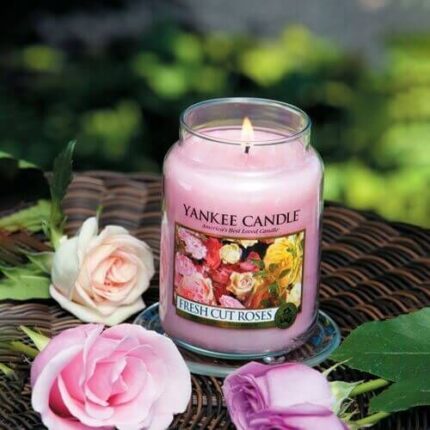 Brennende Yankee Candle Fresh Cut Roses Kerze im Glas zwischen Rosen
