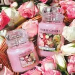 Zwei Yankee Candle Fresh Cut Roses Kerzen zwischen Rosenblüten