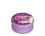 Fresh Lilac Daylight 42g – Produktansicht
