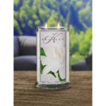 Gardenia 623g – Produktansicht