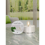 Gardenia Daylight 42g – Produktansicht