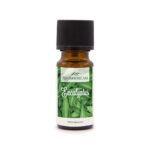 EucalyptusOJYTbvDLzDvIi-jpg-ftqQ.jpg