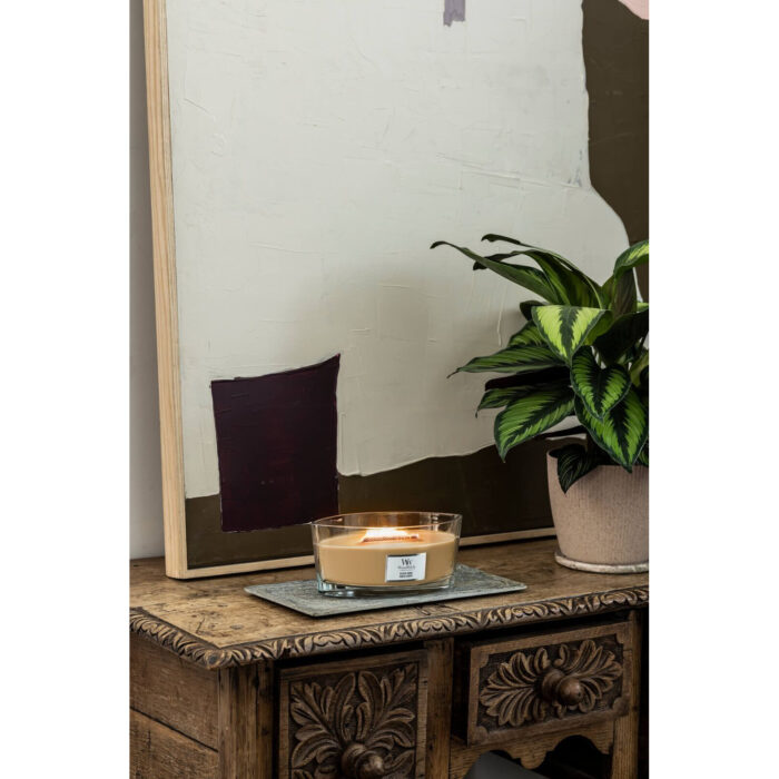 Brennende WoodWick Gilded Sands Kerze neben einer Zimmerpflanze