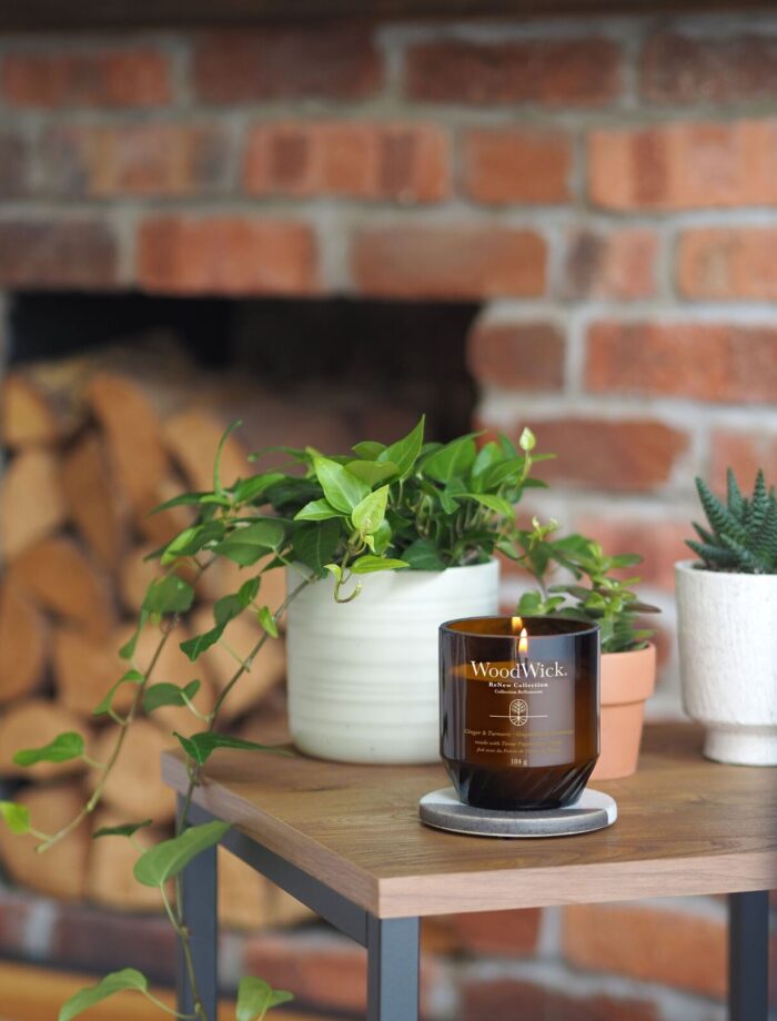 WoodWick ReNew Collection Kerzen in verschiedenen Größen im Wohnraum