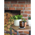Mehrere WoodWick ReNew Collection Kerzen auf zwei Tischen
