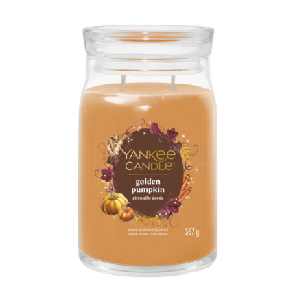 Golden Pumpkin 567g – Hauptansicht