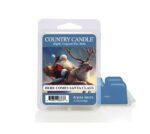 Here Comes Santa Claus Wax Melts 64g – Produktansicht