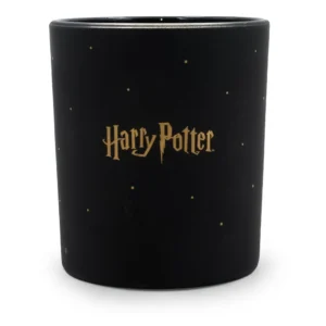 Schwarze Kerzenrückseite mit goldenem Harry-Potter-Schriftzug und Sternen