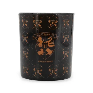 Vorderansicht einer schwarzen Hogwarts Duftkerze mit Wappenmotiv