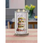 Ice Cream Sandwiches 623g – Produktansicht