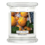 Iced Citrus 411g – Hauptansicht