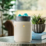 Elektrische Duftlampe mit türkisfarbenen Würfeln auf einem Tisch neben Pflanzen
