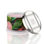 Island Citrus Guave 510g (4-Docht) – Produktansicht