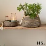 Jar Candle Lisse sand klein – Produktansicht