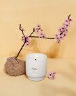 Kirschblüte - Fleur de Cerisier - Halskette mit schwarzen Perlen 200g – Produktansicht