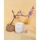 Kirschblüte - Fleur de Cerisier - Halskette mit schwarzen Perlen 200g – Produktansicht