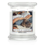 Kittens & Cashmere 411g – Hauptansicht
