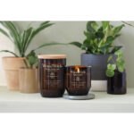 Zwei WoodWick Lavender & Cypress Kerzen neben Zimmerpflanzen, eine mit brennender Flamme