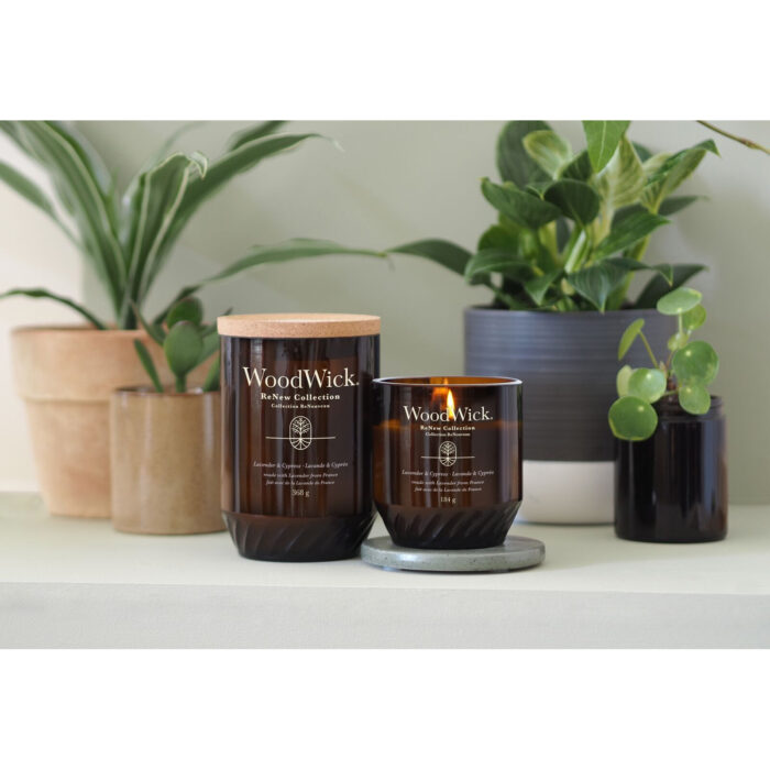 Zwei WoodWick Lavender & Cypress Kerzen neben Zimmerpflanzen, eine mit brennender Flamme