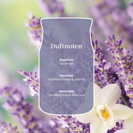 Grafik mit Duftnoten von Lavendel, Vanilleorchidee, Jasmin, Vanilleschote und Moschus