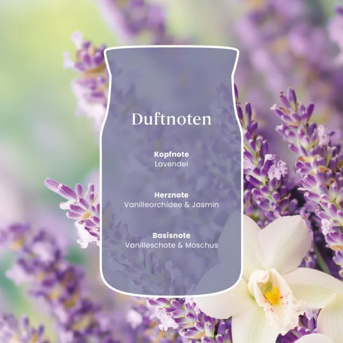 Grafik mit Duftnoten von Lavendel, Vanilleorchidee, Jasmin, Vanilleschote und Moschus