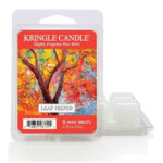 Leaf Peeper Wax Melts 64g – Hauptansicht