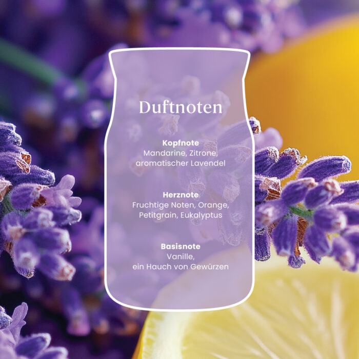 Lemon Lavender Signature Medium Jar 368g 2-Docht – Produktansicht