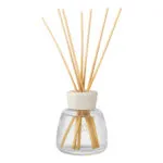 Nahaufnahme eines Reed Diffusers mit Glasflakon und Duftstäbchen