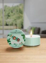 Lemon Tea & Roses Daylight 42g – Produktansicht