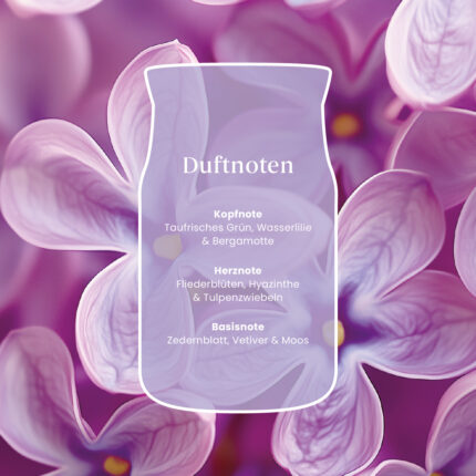 Duftnoten-Grafik mit Kopf-, Herz- und Basisnoten von Lilac Blossoms