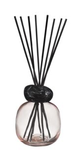 Nahaufnahme des Raumduft-Diffusers mit rundem Glasgefäß und aufgefächerten schwarzen Duftstäbchen