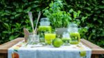 Lime & Basil 100g – Produktansicht
