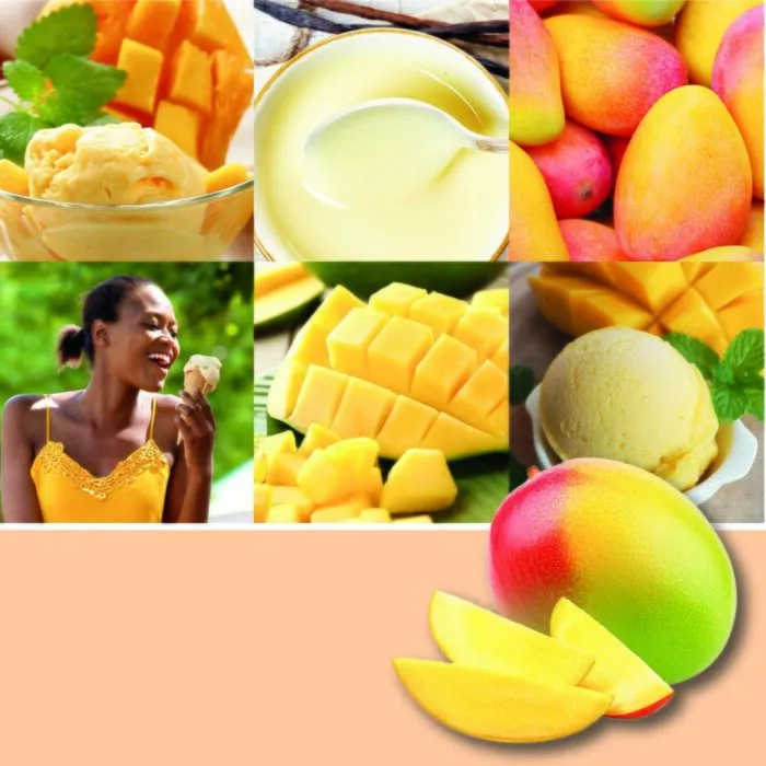 Collage mit Mango, Eiscreme, Vanille und Mango-Würfeln
