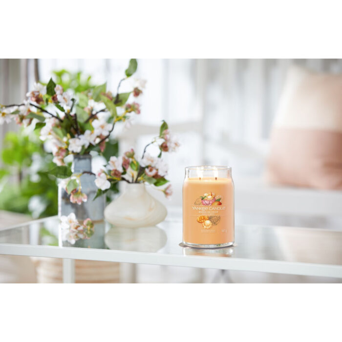 Mango Ice Cream Duftkerze mit zwei Flammen vor einem hellen Wohnambiente