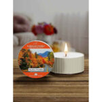 Maple Woods Daylight 42g – Produktansicht
