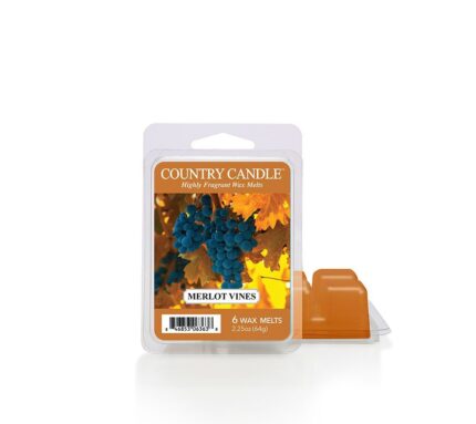 Pinecones & Pomander Wax Melts 64g – Produktansicht