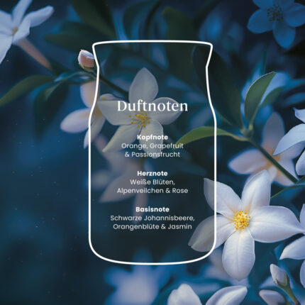 Grafik mit Duftnoten von Midnight Jasmine und weißen Blüten