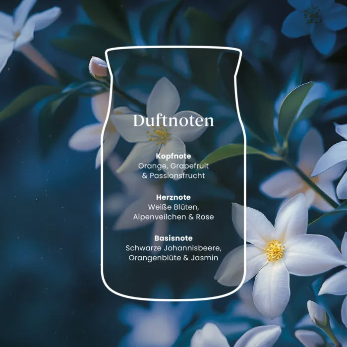 Midnight Jasmine Signature Large Jar 567g 2-Docht – Produktansicht