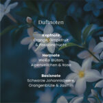 Midnight Jasmine 37g – Produktansicht