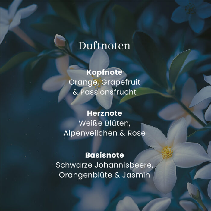 Midnight Jasmine 37g – Produktansicht