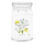Midnight Jasmine Signature Large Jar 567g – Produktansicht
