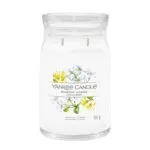 Midnight Jasmine Signature Large Jar 567g 2-Docht – Produktansicht
