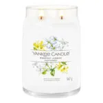 Midnight Jasmine Signature Large Jar 567g – Produktansicht