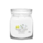 Midnight Jasmine Signature Medium Jar 368g 2-Docht – Produktansicht