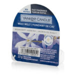 Midnight Jasmine Wachsmelt 22g – Produktansicht