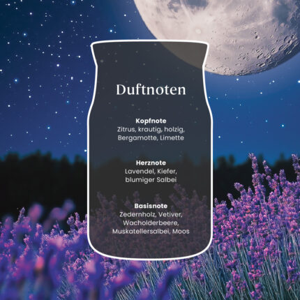 Grafik mit Duftnoten von Midsummer’s Night vor nächtlichem Sternenhimmel