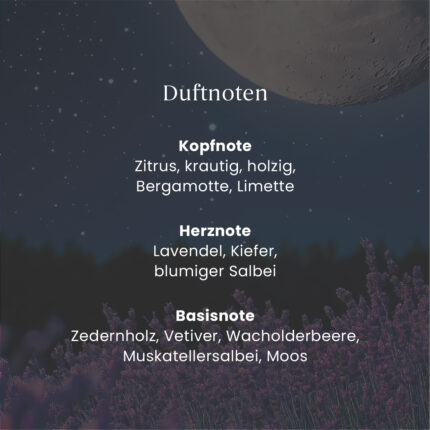 Grafik mit Duftnoten von Midsummer’s Night und Lavendelmotiv