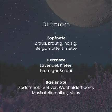 Midsummers Night ScentPlug™ Nachfüllpack – Produktansicht