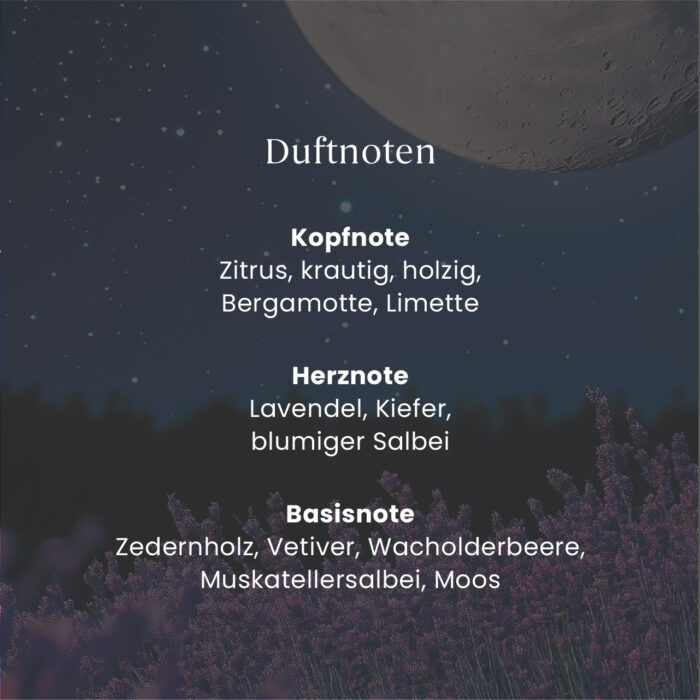 Duftnoten mit Kopf-, Herz- und Basisnoten von Midsummer’s Night