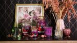 Mixed Berries 100g – Produktansicht